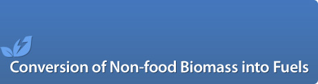 Cost-Effective Conversion of Non-food Biomass into Fuels