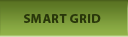 Smart Grid